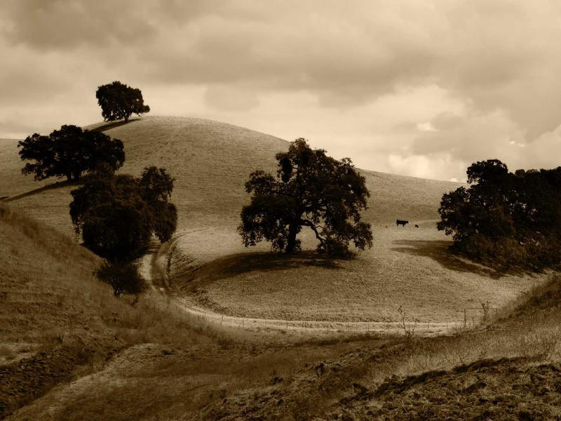 sudoku education game screenshot 4